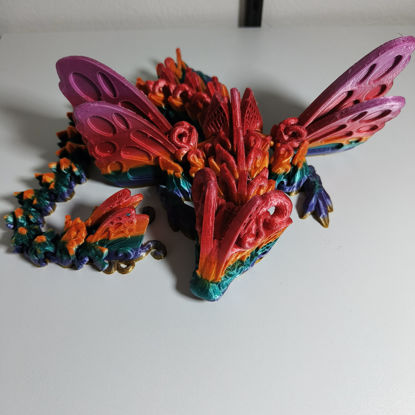 Afbeeldingen van Butterfly Dragon